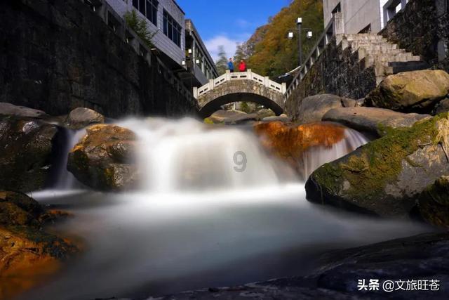 贪吃鼠吃豆豆